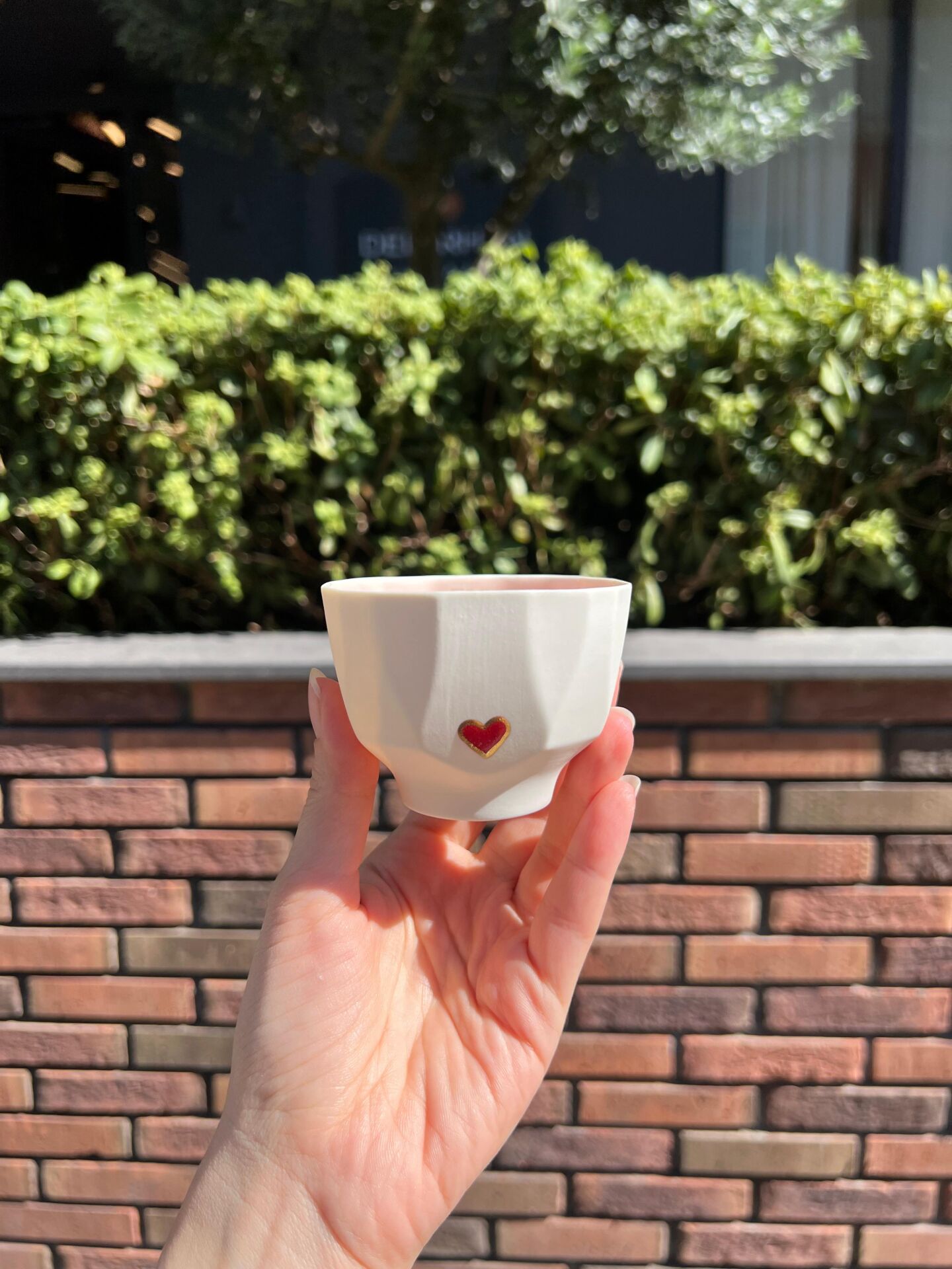 Iroh -  Porselen Fincan/Kulpsuz/Kalpli